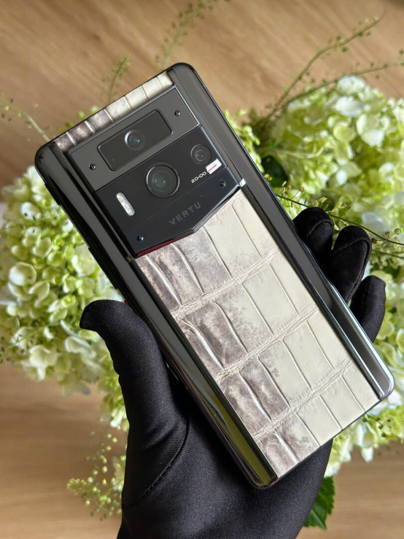 Metavertu 2 Himalaya Bach Tang (10)