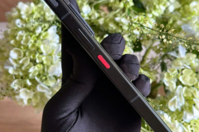 METAVERTU 2 Generation cá sấu bạch tạng 99% chính hãng