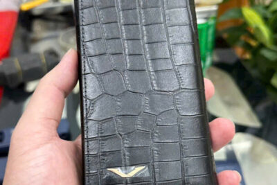 Bao da Vertu Aster P da cá sấu