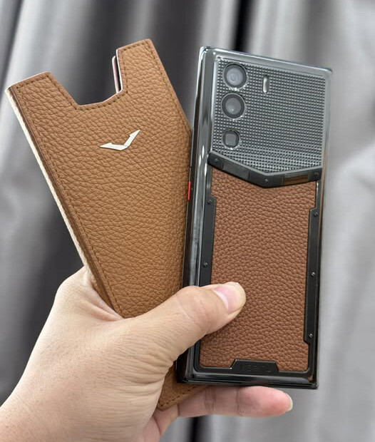 Bao Da Meta Vertu 1 (8)