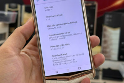 Vertu Aster P – Độc Bản mạ vàng da bạch tạng