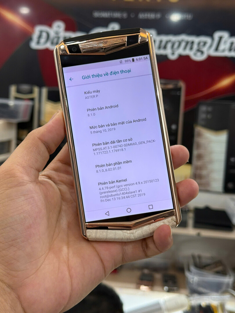 Vertu Aster P Ma Vang Da Bach Tang (6)