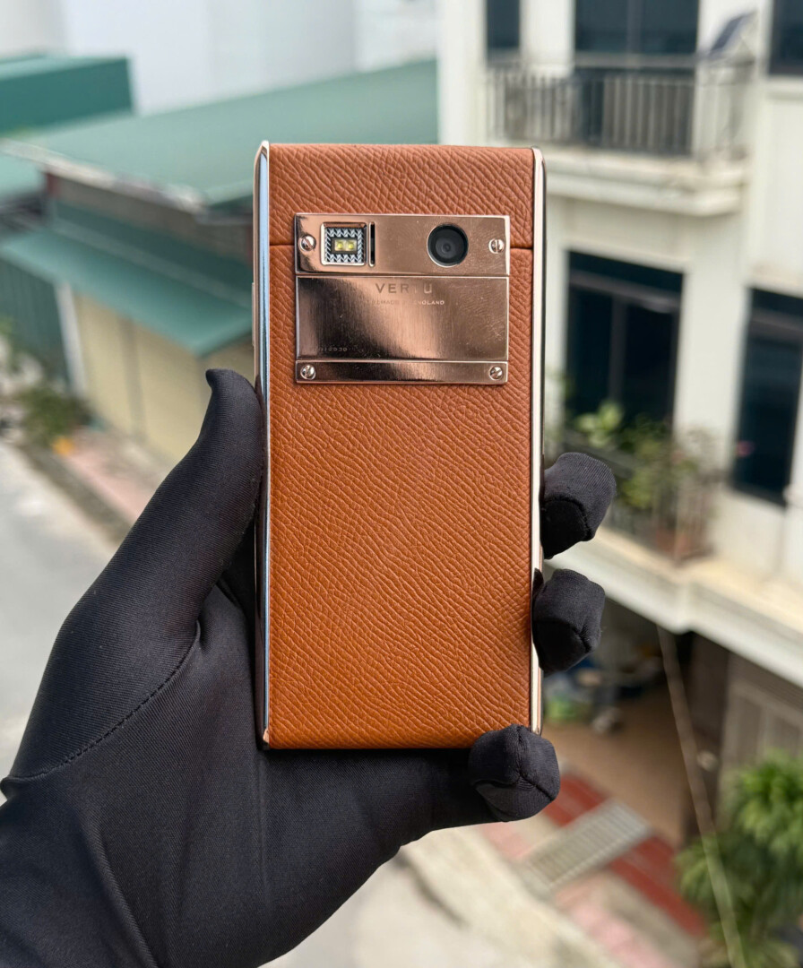 Aster T Ma Vang Da Nau (2)