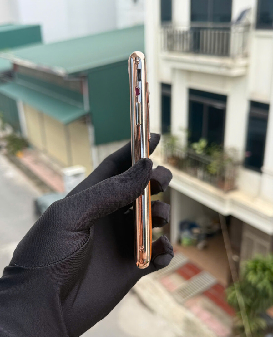 Aster T Ma Vang Da Nau (3)