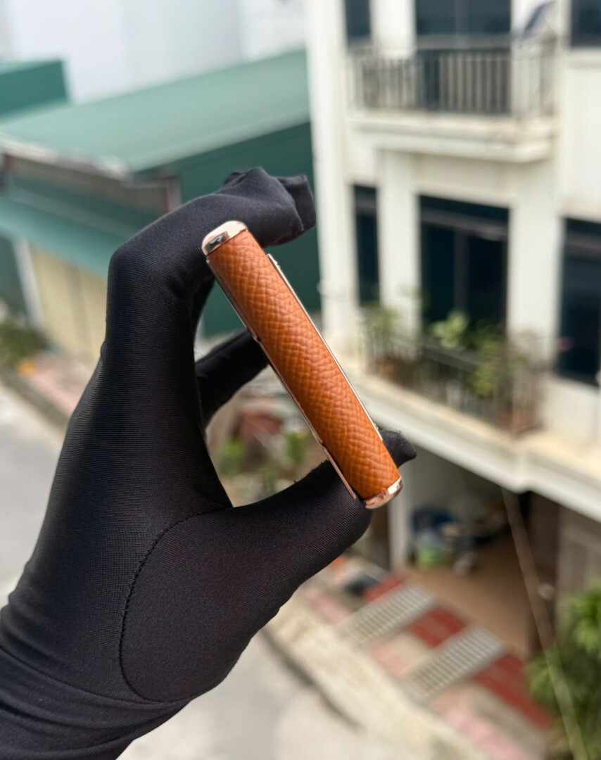 Aster T Ma Vang Da Nau (4)