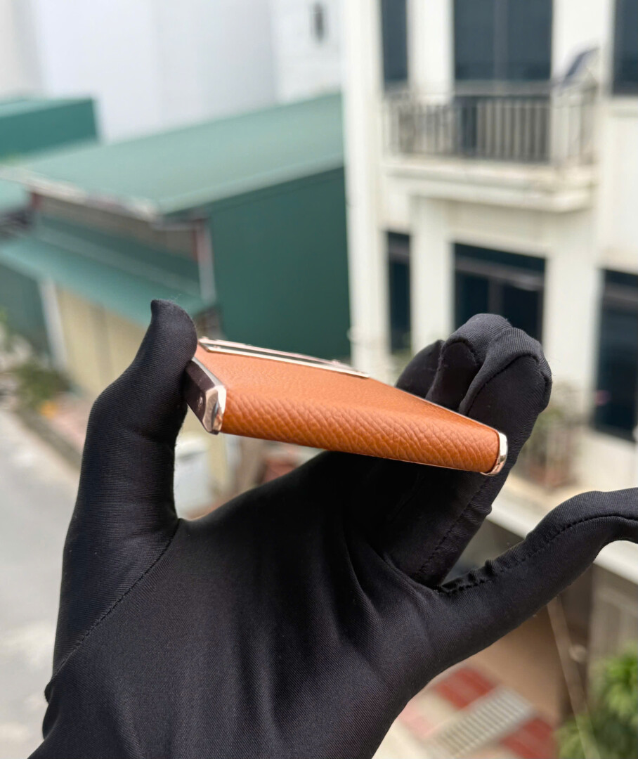 Aster T Ma Vang Da Nau (5)