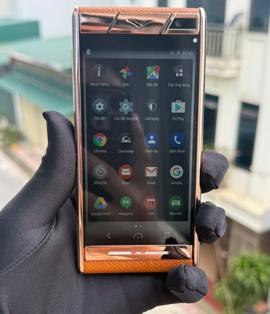 Aster T Ma Vang Da Nau (6)